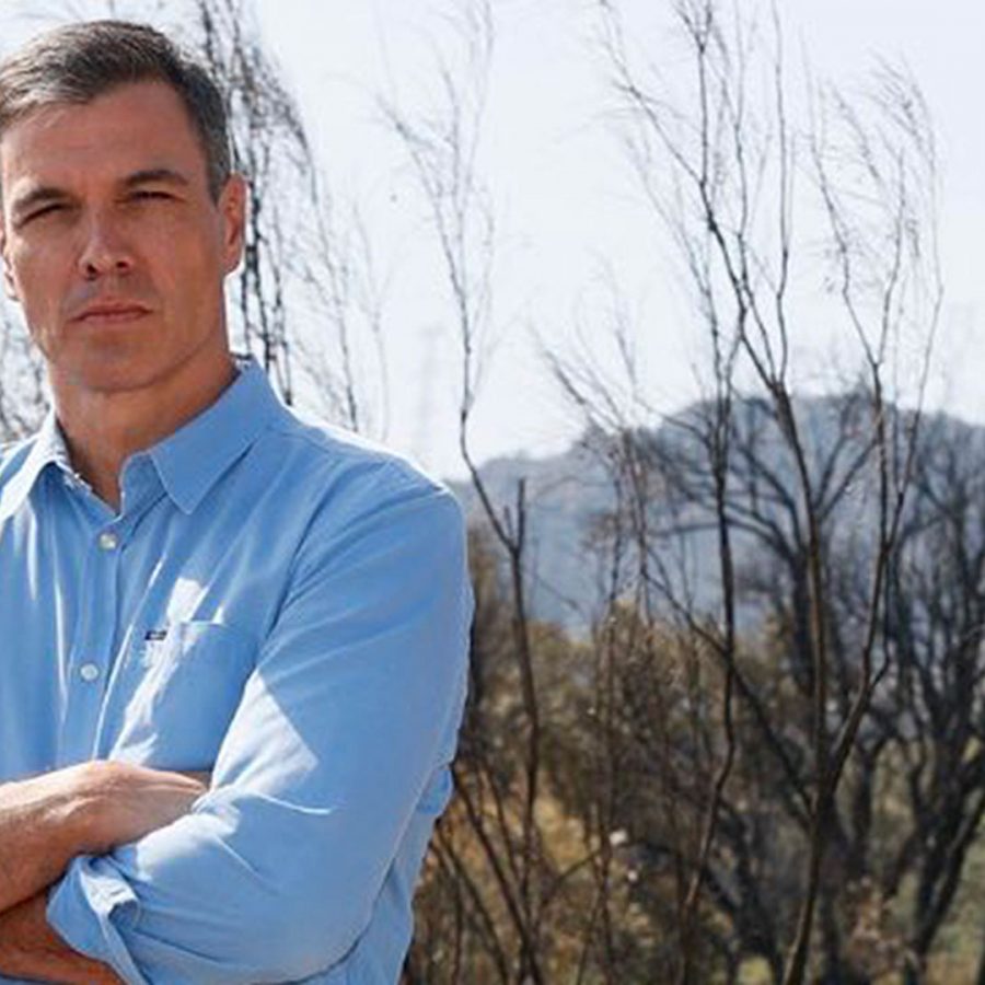 pedro-sanchez-destacada